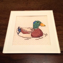 cross-stitch coaster