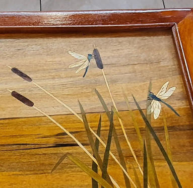 dragonflies cabinet