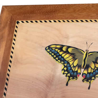 Box with marquetry butterfly